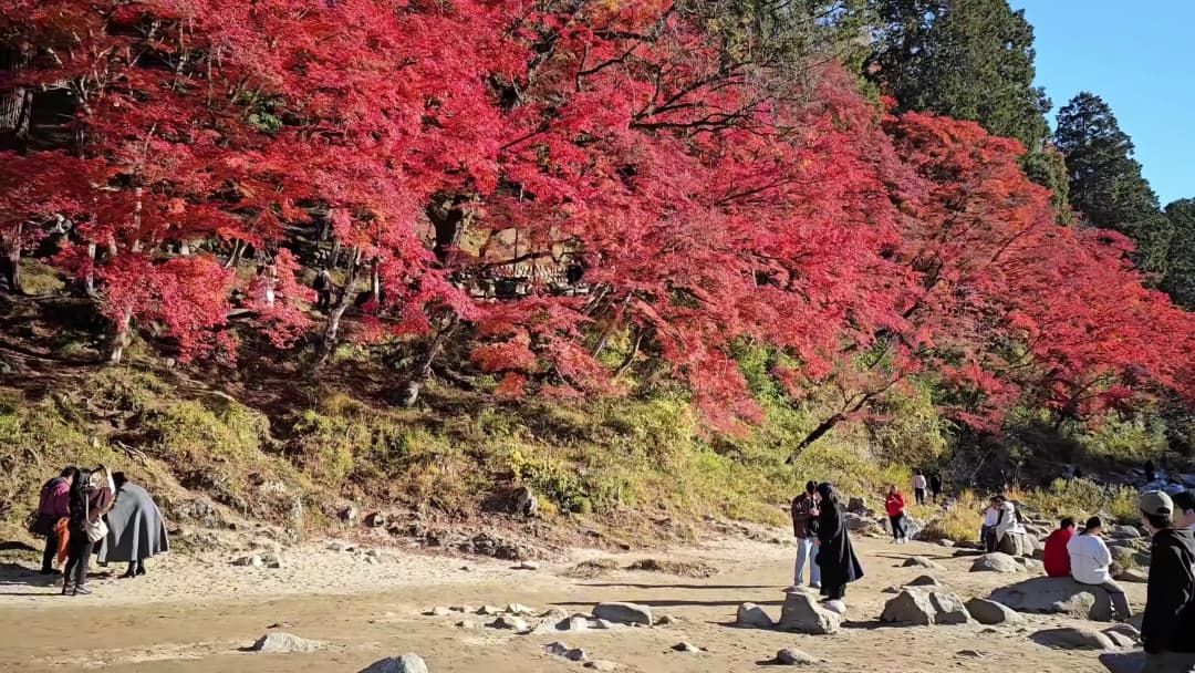 香嵐溪紅葉節