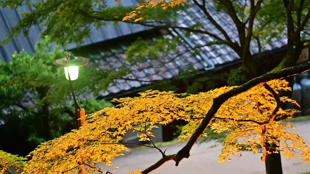 香嵐溪紅葉節