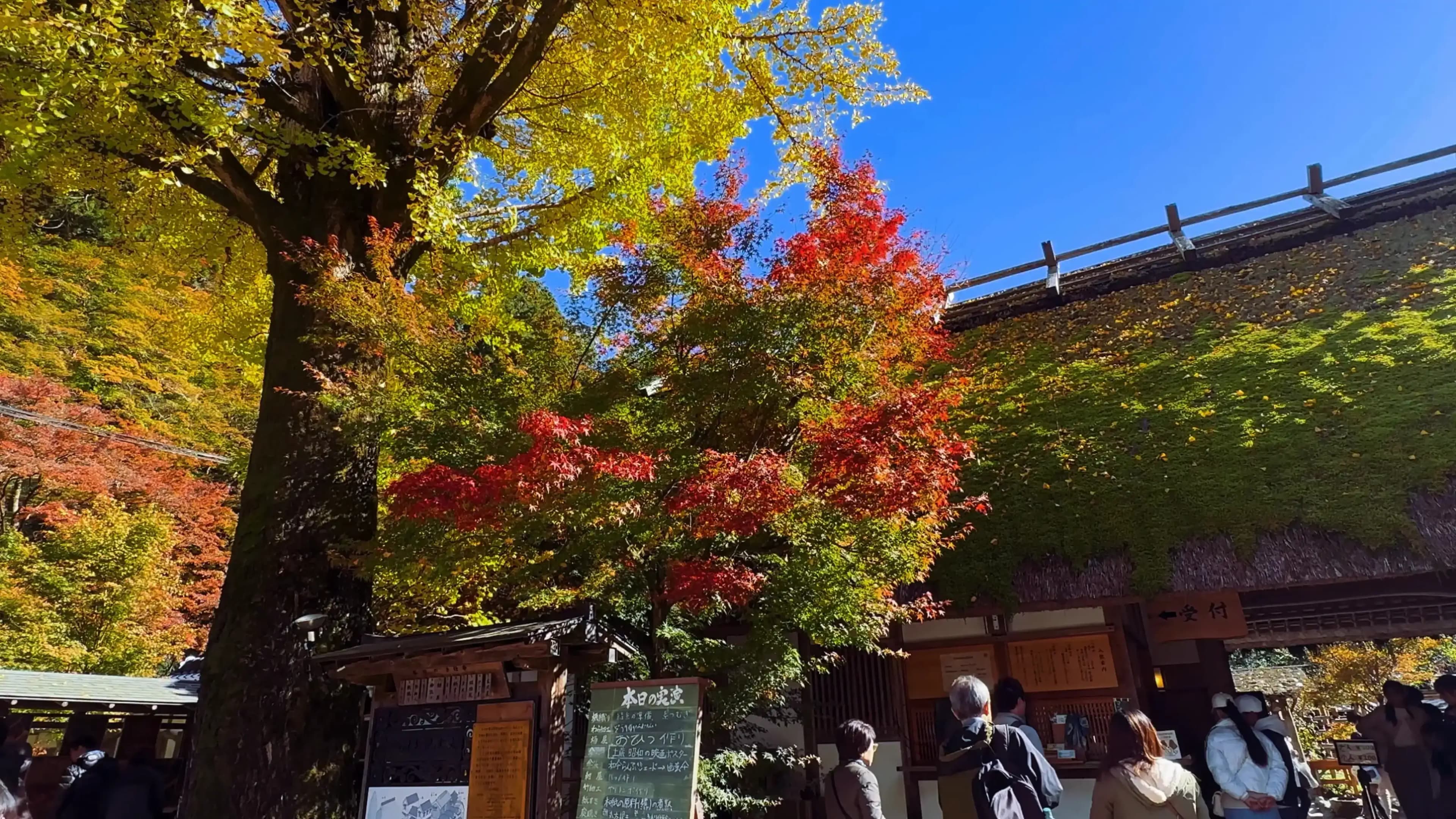 香嵐溪紅葉祭