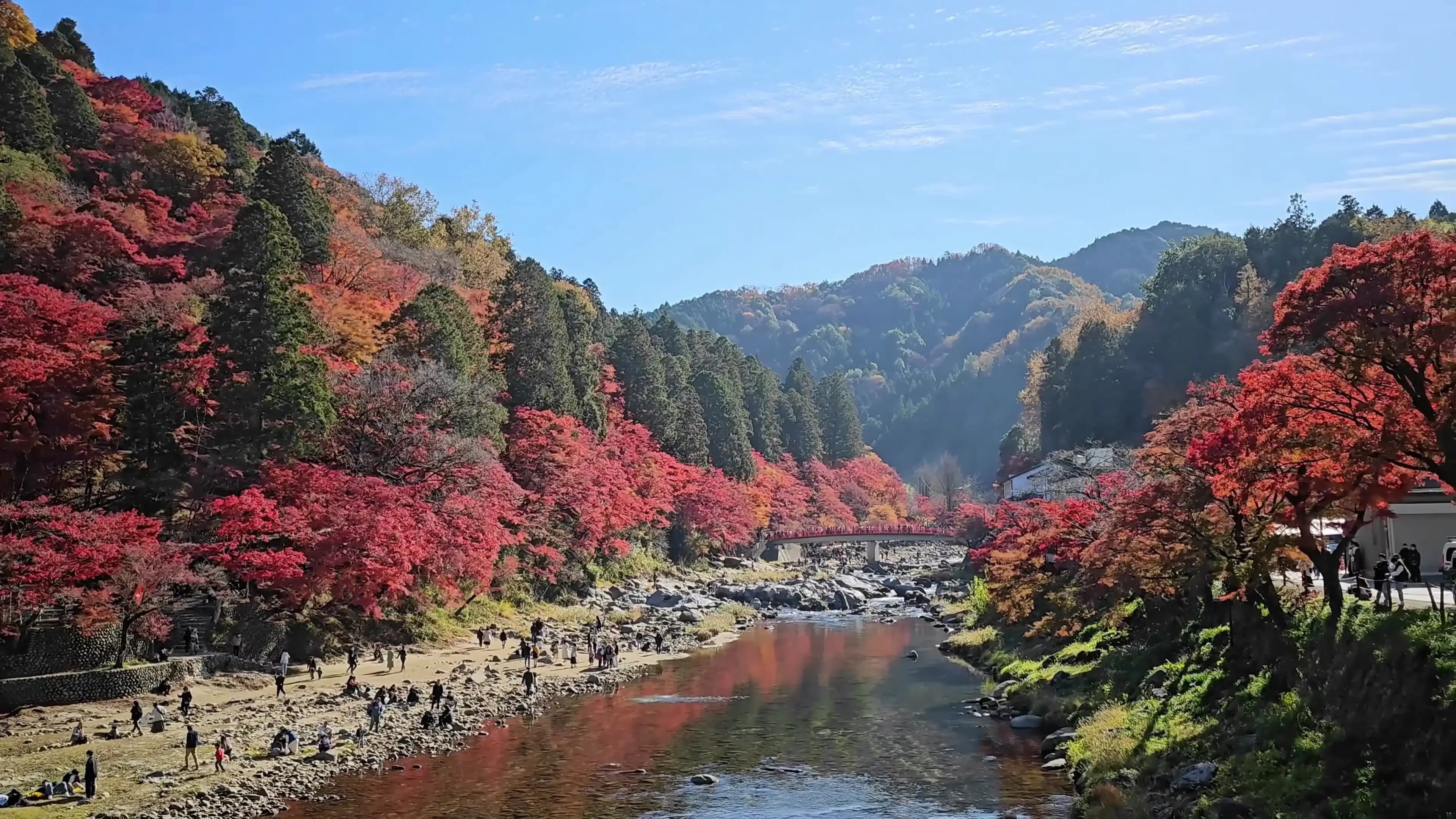 香嵐溪紅葉節