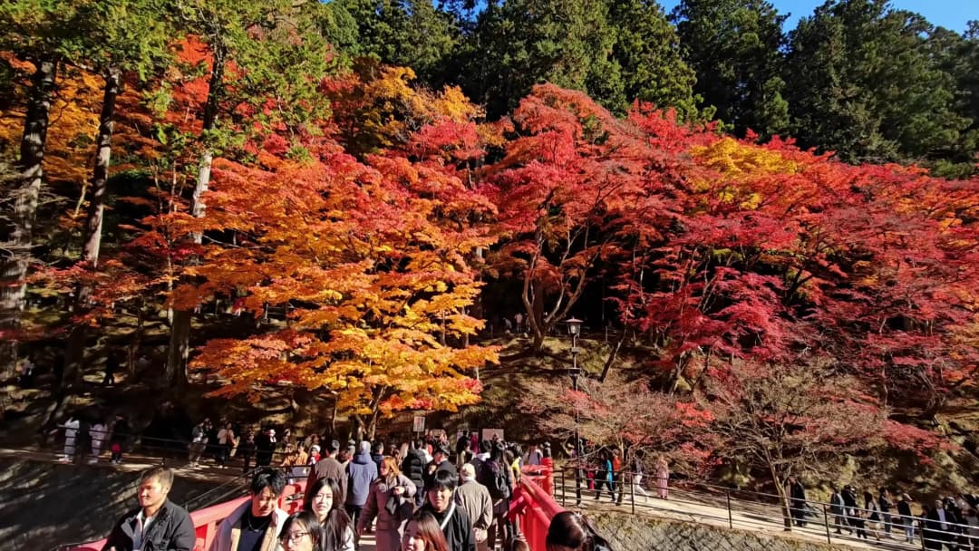 香嵐溪紅葉節